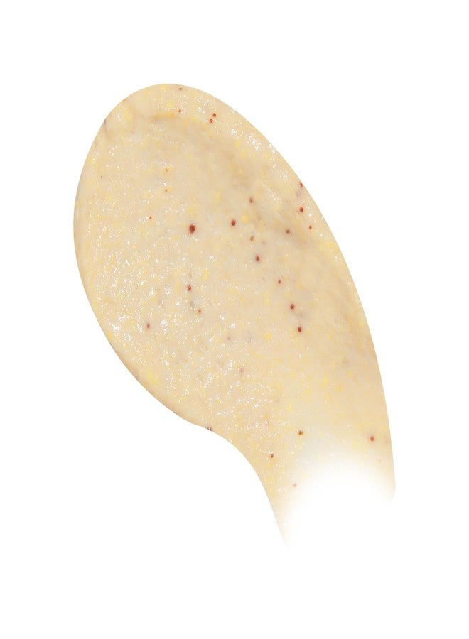 Beekman 1802 Coconut Cream Exfoliating Milk Body Scrub - 8.0 fl oz - Smooths Skin & Evens Out Tone - With Goat Milk & Jojoba Beads - Skin Barrier & Biome Safe - Good for Sensitive Skin - Cruelty Free - Image 2